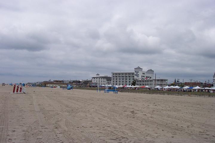 C_M 021.jpg